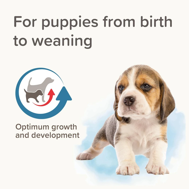 شیر خشک سگ بیفار مدل lactol pupy وزن 250 گرم Image 5