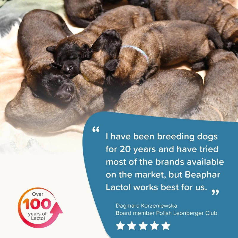 شیر خشک سگ بیفار مدل lactol pupy وزن 250 گرم Image 4